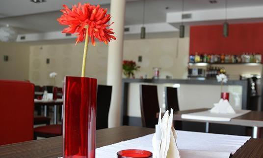 Hotel Cynamon Tokarnia  Екстериор снимка